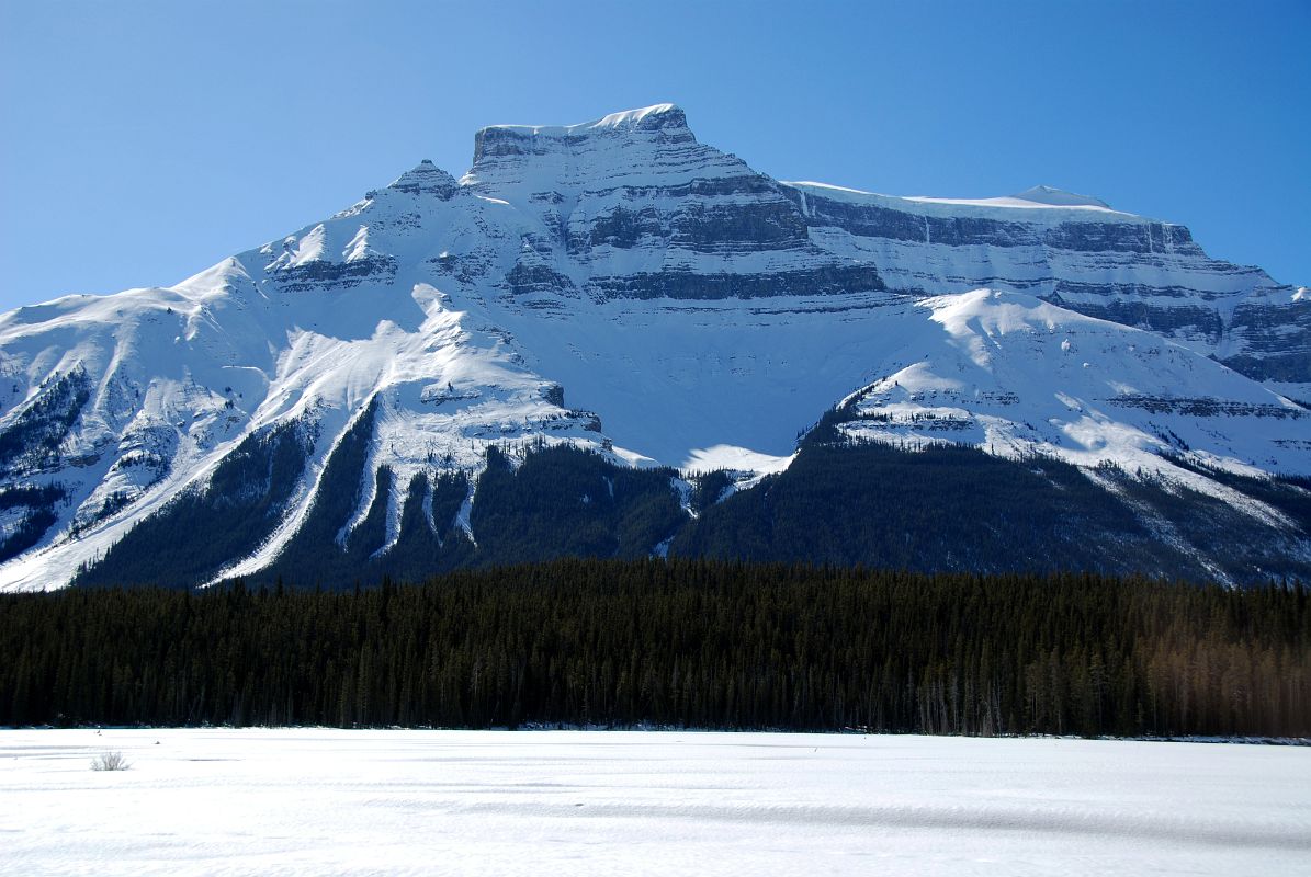 05 Mount Amery From Icefields Parkway